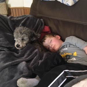 Meet your Posher, Joyce